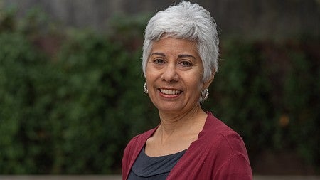 Professor Laura Pulido